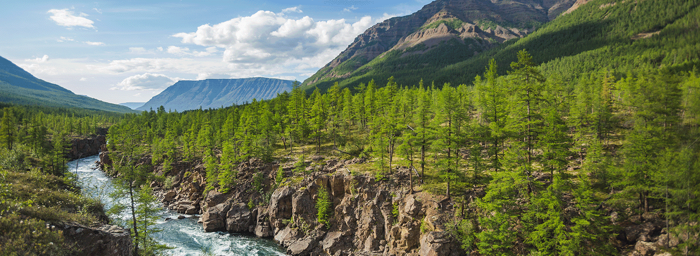 Land and biodiversity