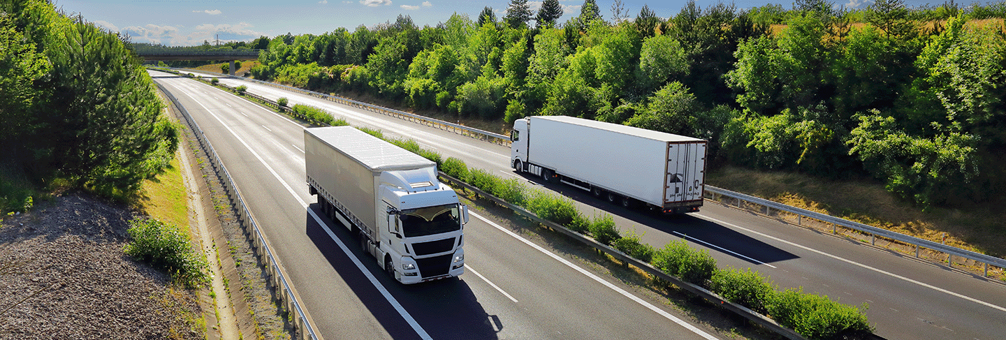 Procurement and responsible supply chain